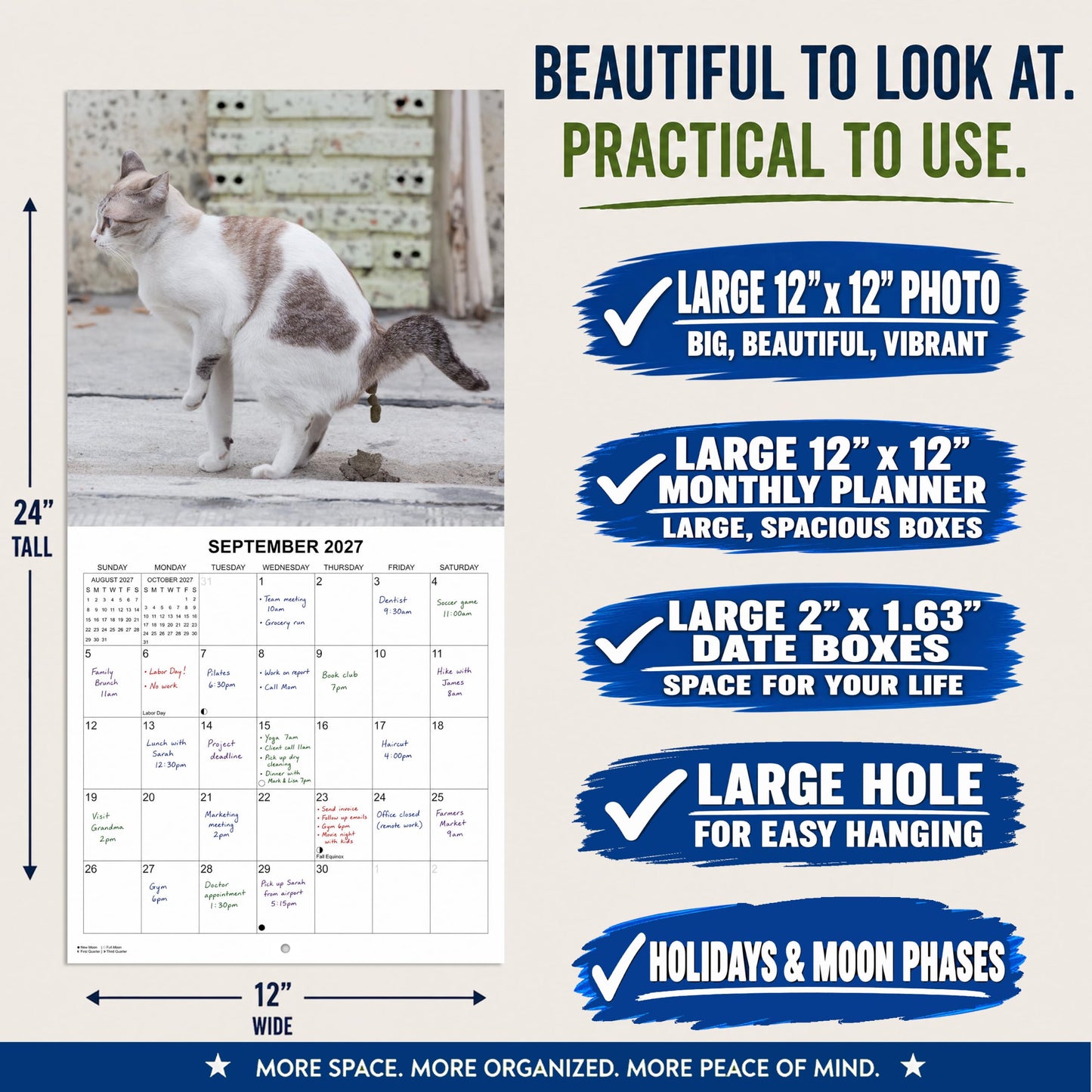 2027 Fecal Felines Monthly Wall Calendar - Pooping Cats Calendar | 2027 Prank Gift White Elephant or Gag Gift Calendar 2026-2027