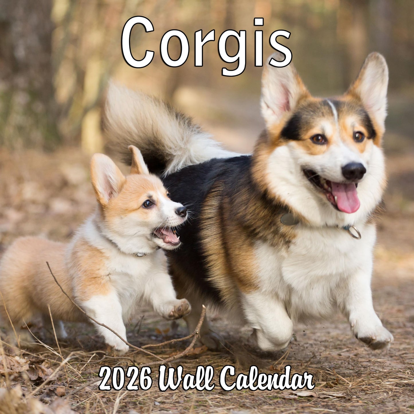 2026 Corgis Monthly Wall Calendar | 12" x 24" | Dog Calendar September 2025 - December 2026