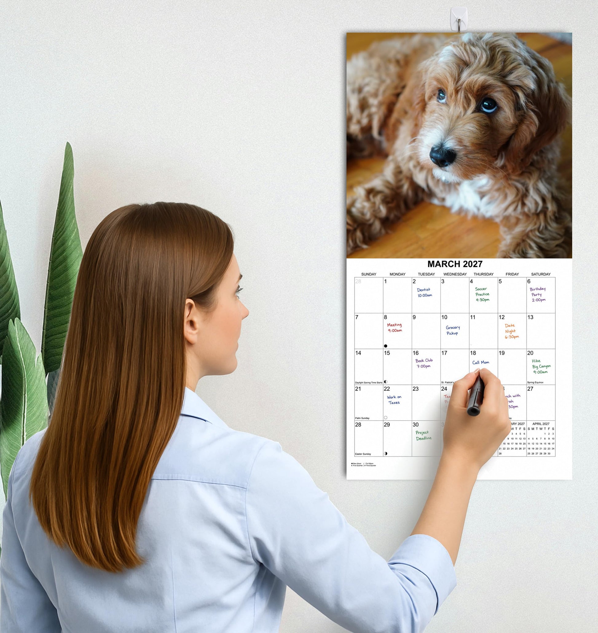 2027 Goldendoodles Monthly Wall Calendar | Cute Dog Calendar September 2026 - December 2027