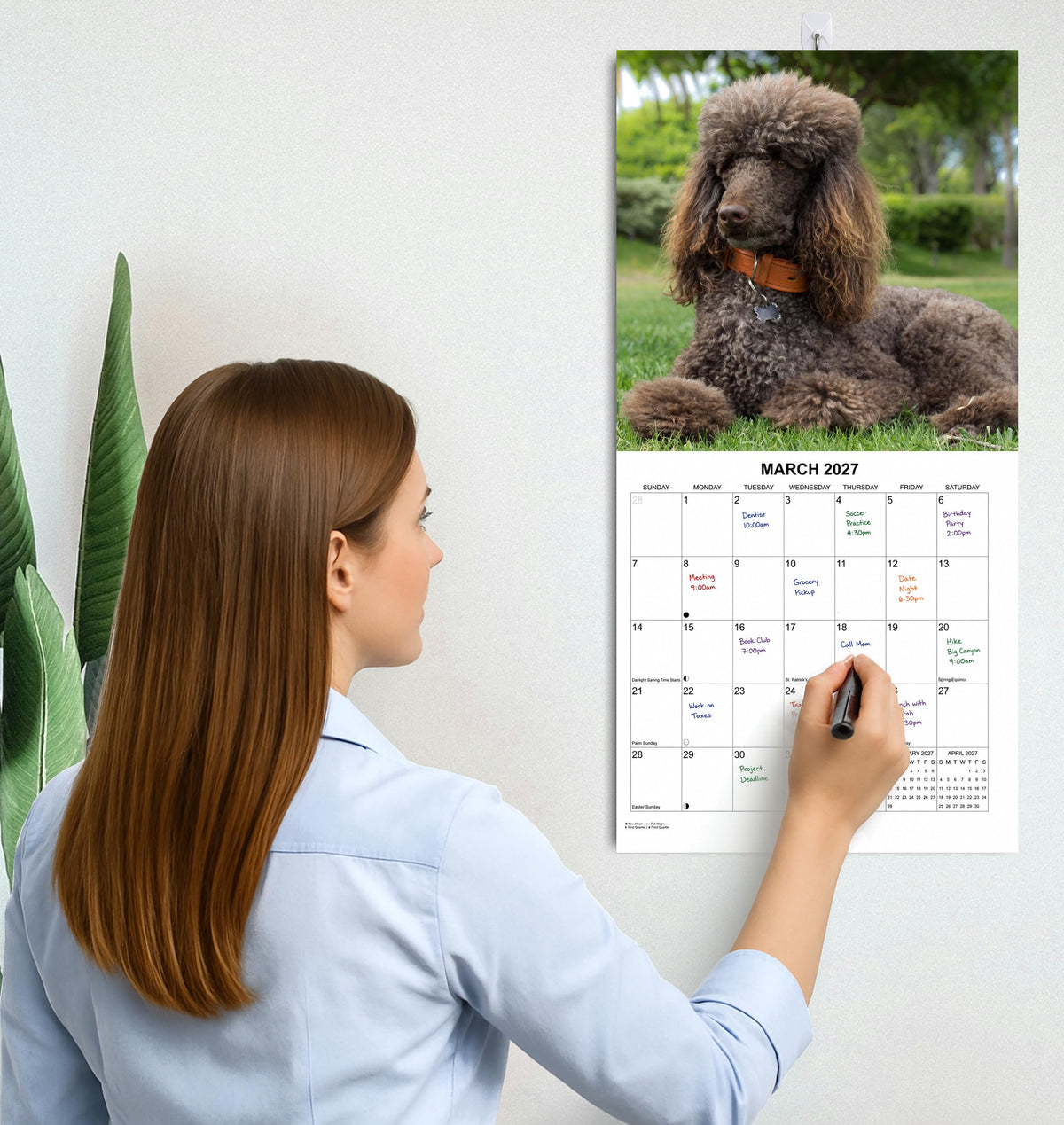 2027 Poodles Monthly Wall Calendar | Dog 2027 Wall Calendar 2026-2027