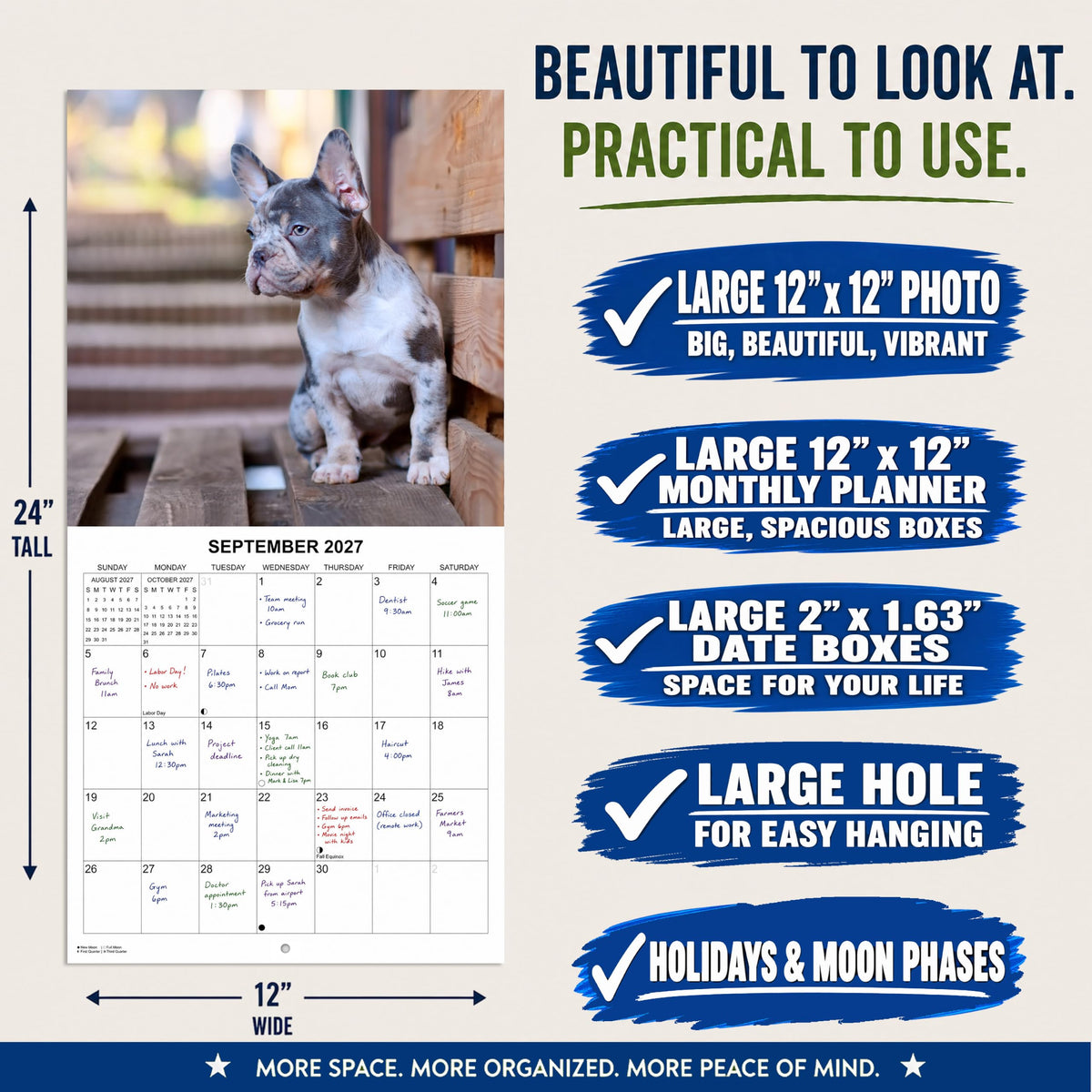 2027 French Bulldogs Monthly Wall Calendar | Cute Dog Calendar 2026-2027