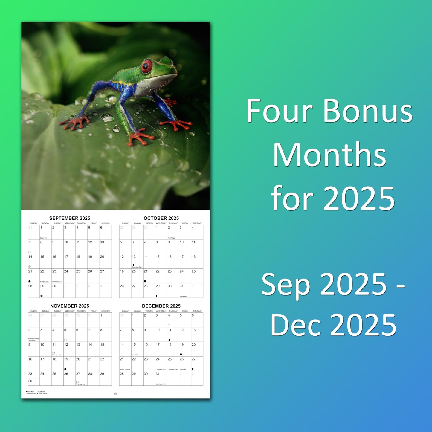 2026 Frogs Monthly Wall Calendar | 12" x 24" | Animals Calendar 2025-2026