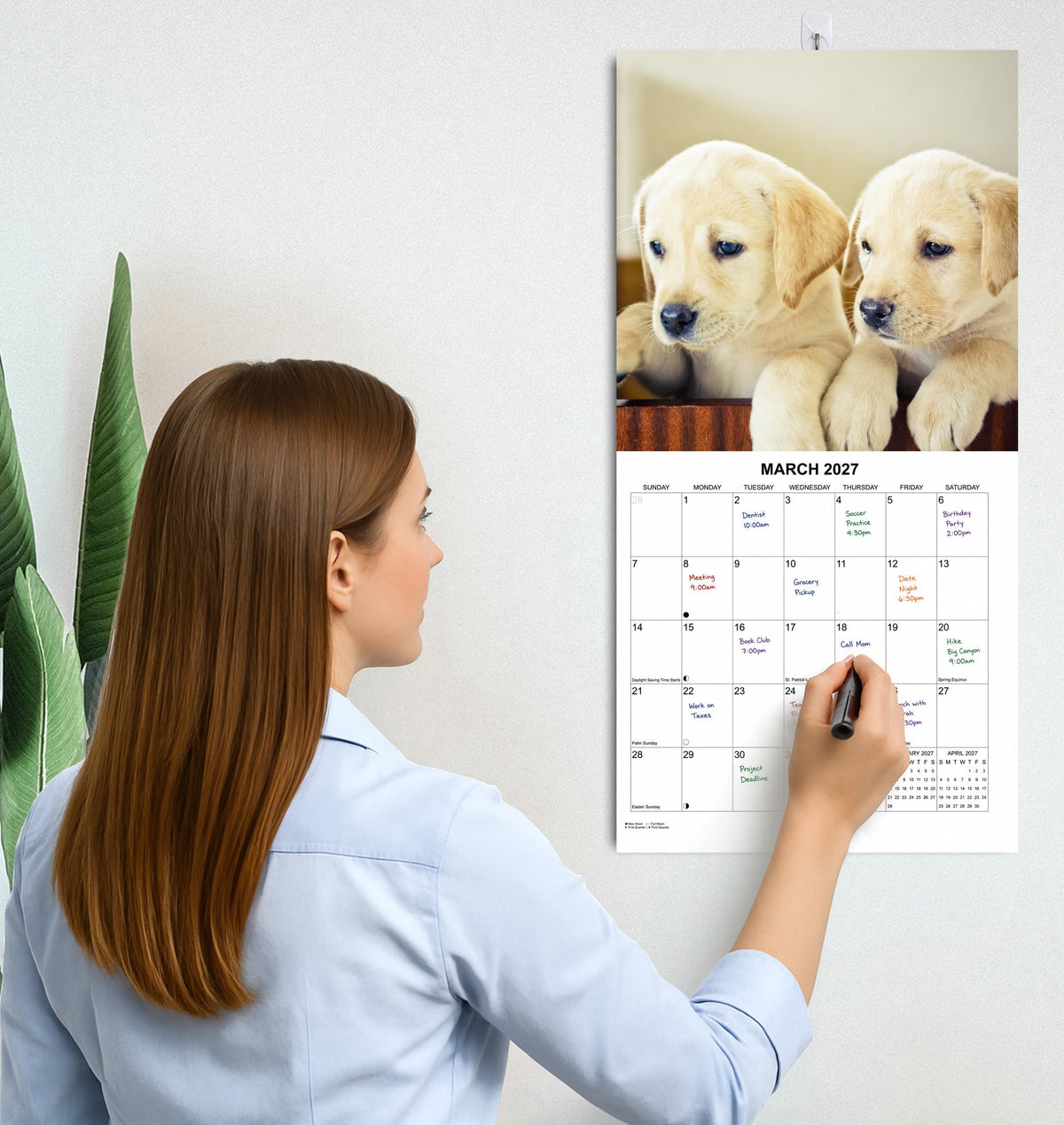 2027 Labs Monthly Wall Calendar | Labrador Retrievers Calendar September 2026 - December 2027