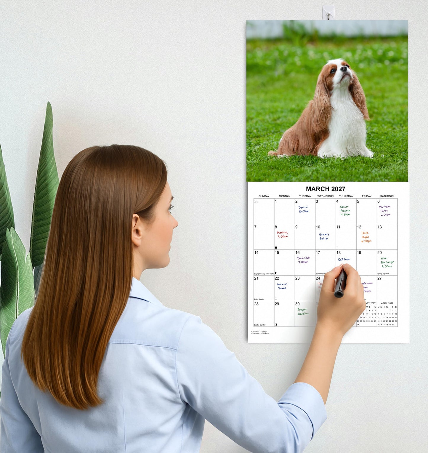 2027 Cavalier King Charles Spaniel Monthly Wall Calendar | Dog Calendar September 2026 - December 2027