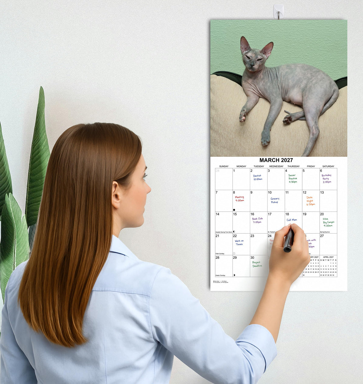 2027 Hairless Cats Monthly Wall Calendar | Cute Sphynx Cats Calendar 2026-2027