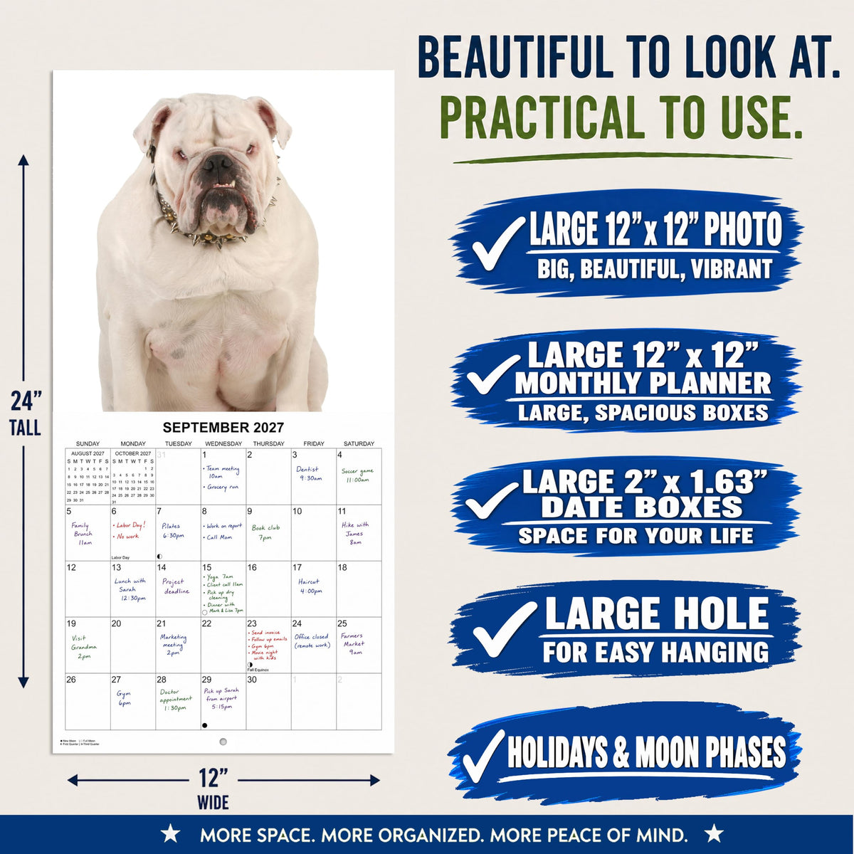 2027 Ugly Dogs Monthly Wall Calendar | Funny White Elephant Gift Gag Gift Calendar September 2026 - December 2027