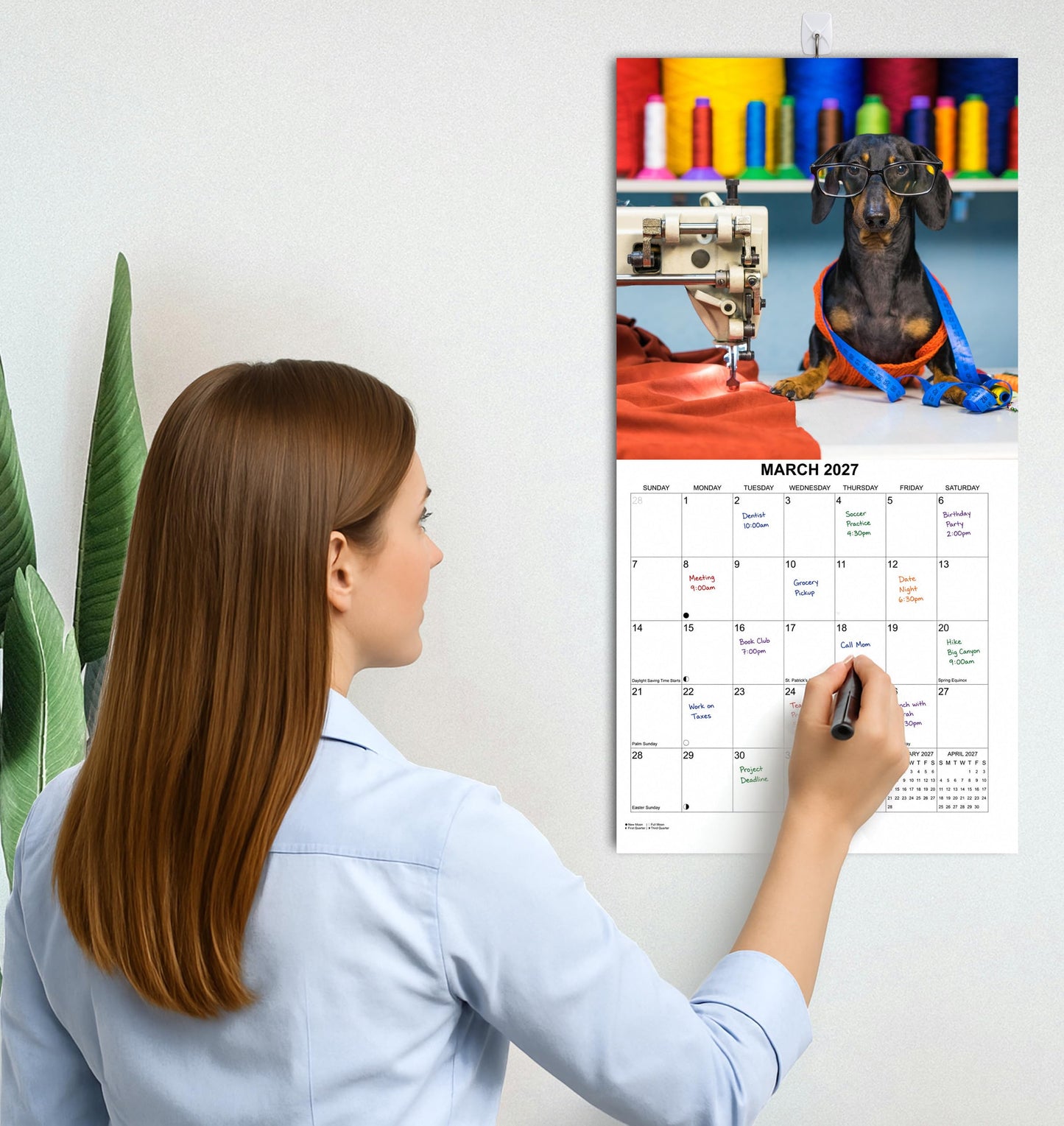 2027 Dachshunds at Work Weiner Dog Monthly Wall Calendar | Funny Wiener Dog Calendar September 2026 - December 2027