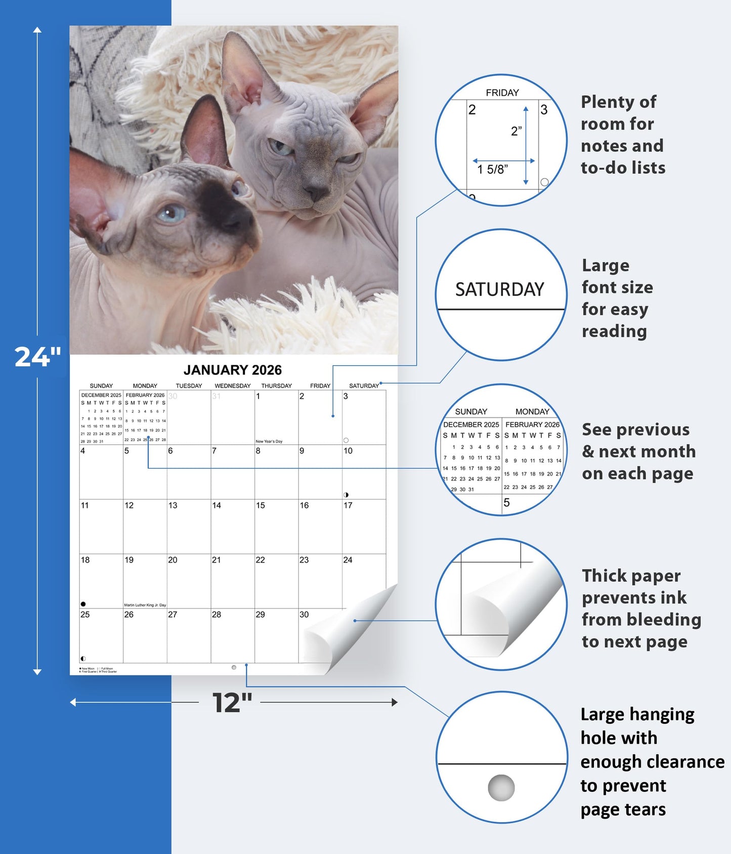 2026 Hairless Cats Monthly Wall Calendar | 12" x 24" | Thick Sturdy Paper | Sphynx Cats Calendar 2025-2026