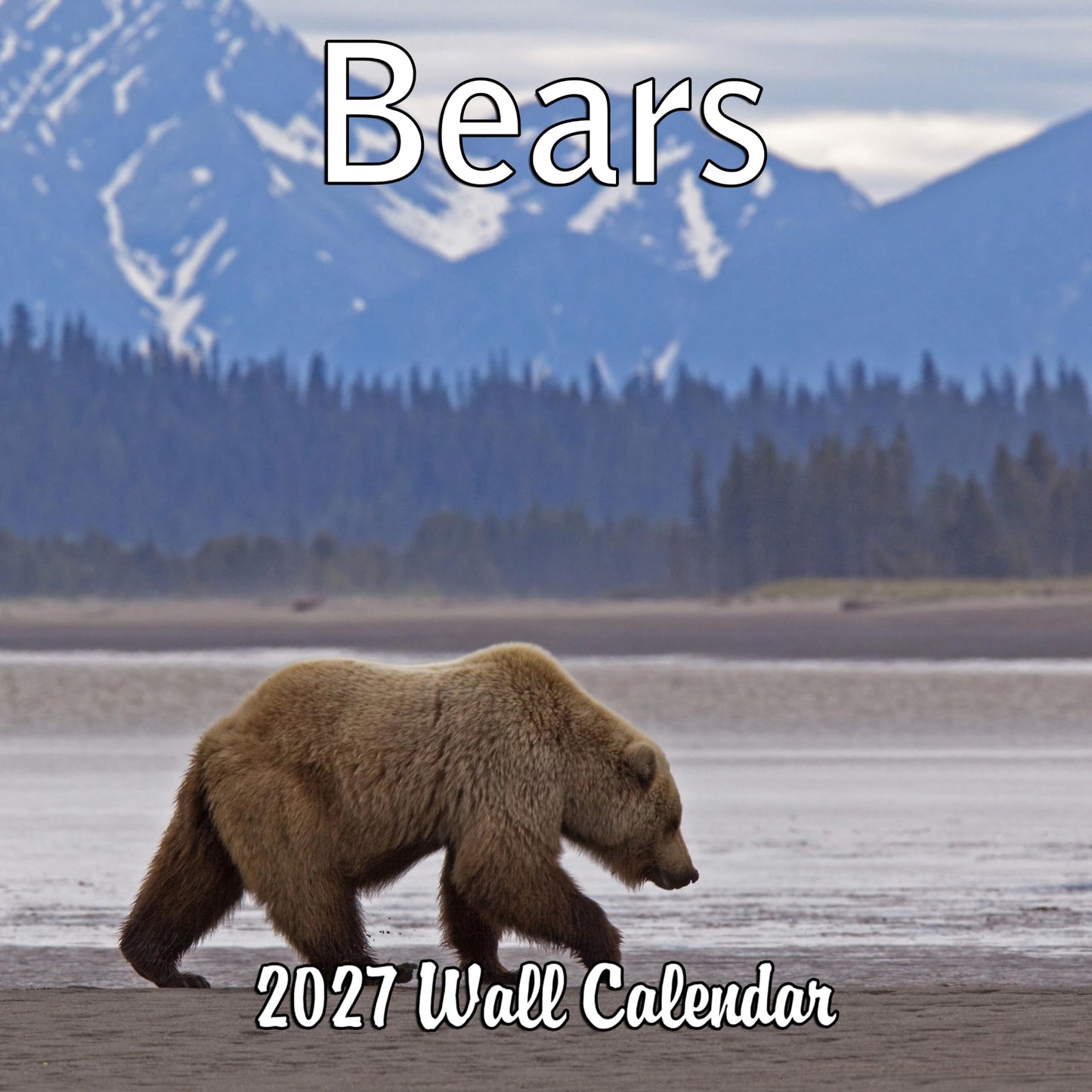 2027 Bears Monthly Wall Calendar | Animals Calendar 2026-2027