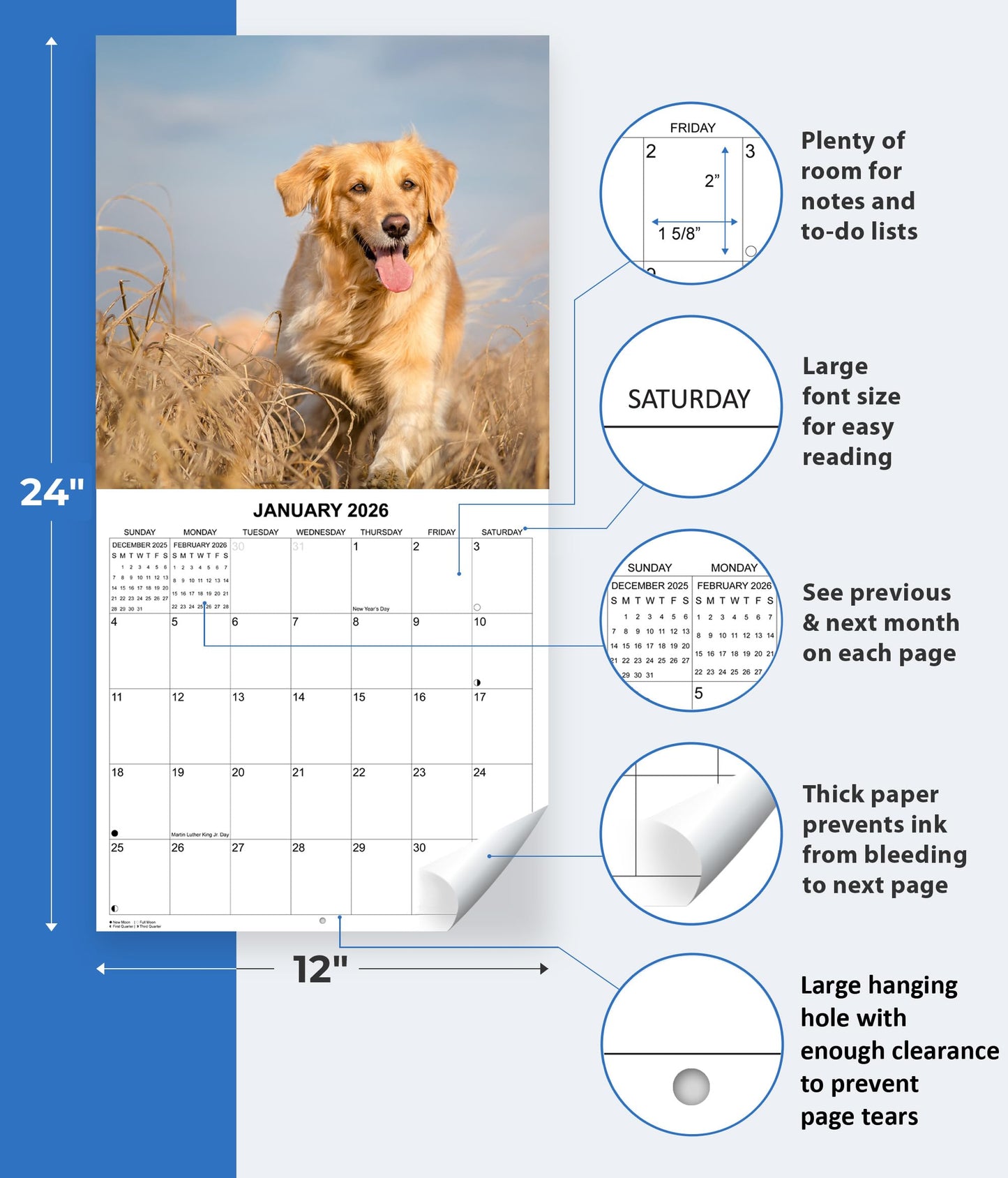 2026 Golden Retrievers Wall Calendar