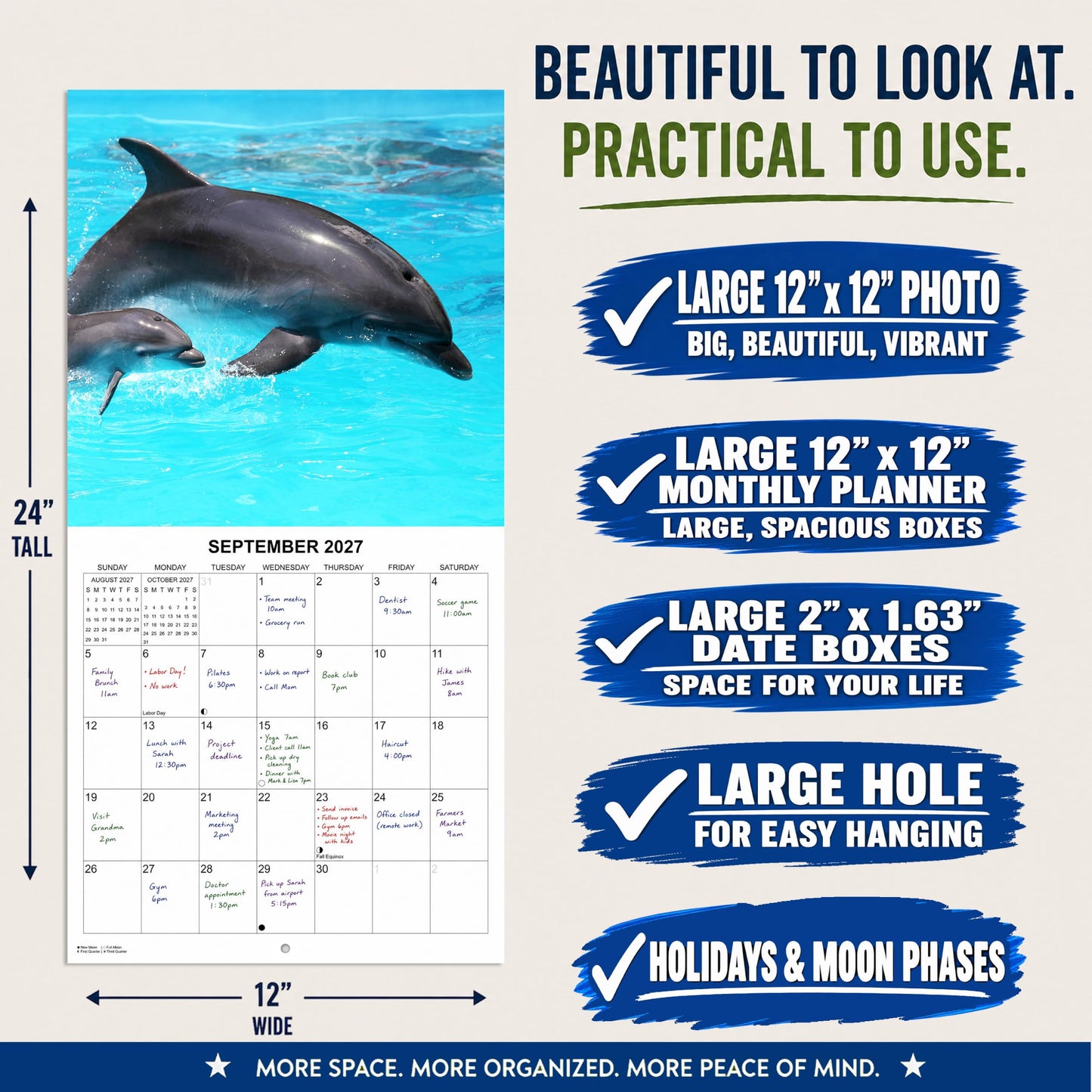 2027 Dolphins Monthly Wall Calendar | Animals Calendar 2026-2027