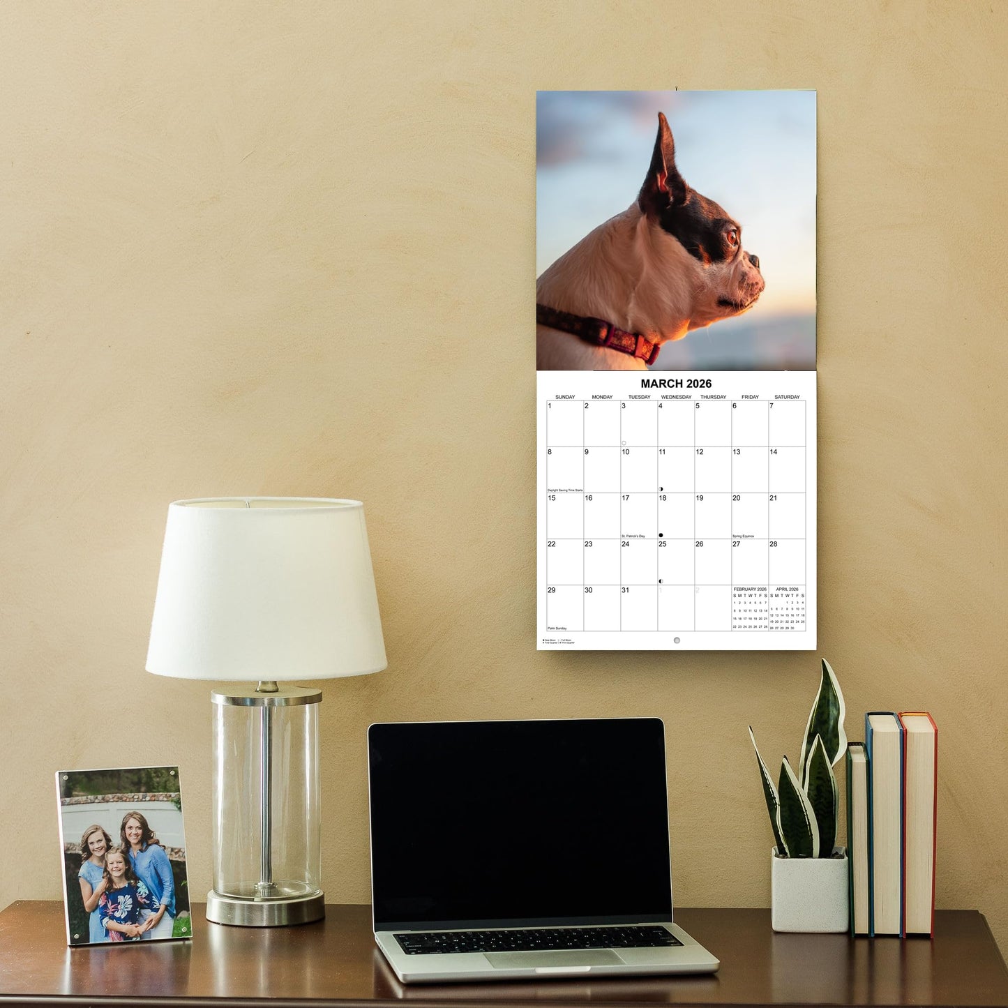 2026 Boston Terriers Monthly Wall Calendar | 12" x 24" | Dogs Calendar September 2025- December 2026