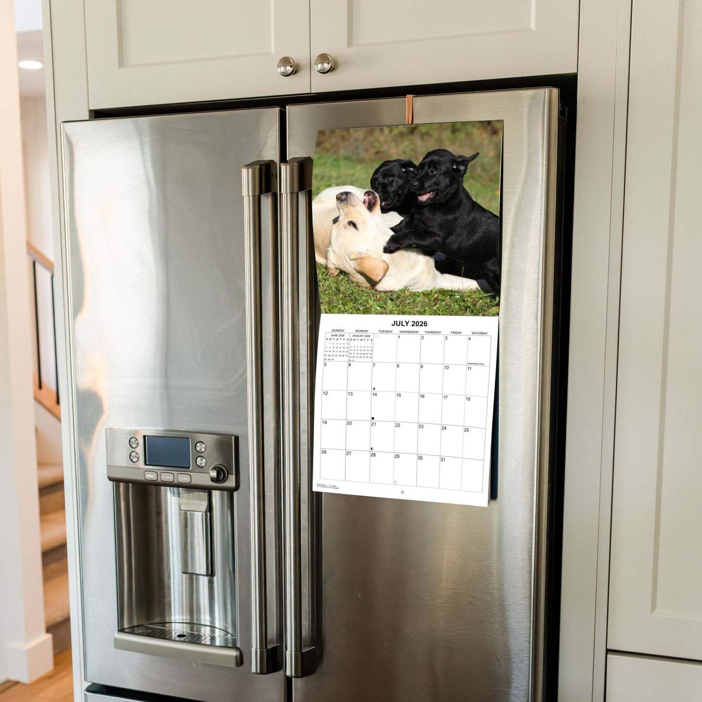 2026 Labs Monthly Wall Calendar | 12" x 24" | Labrador Retriever Dogs Calendar September 2025- December 2026