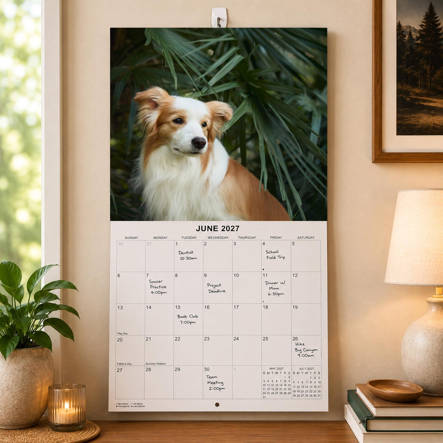 2027 Border Collies Monthly Wall Calendar | Dog Calendar September 2026 - December 2027
