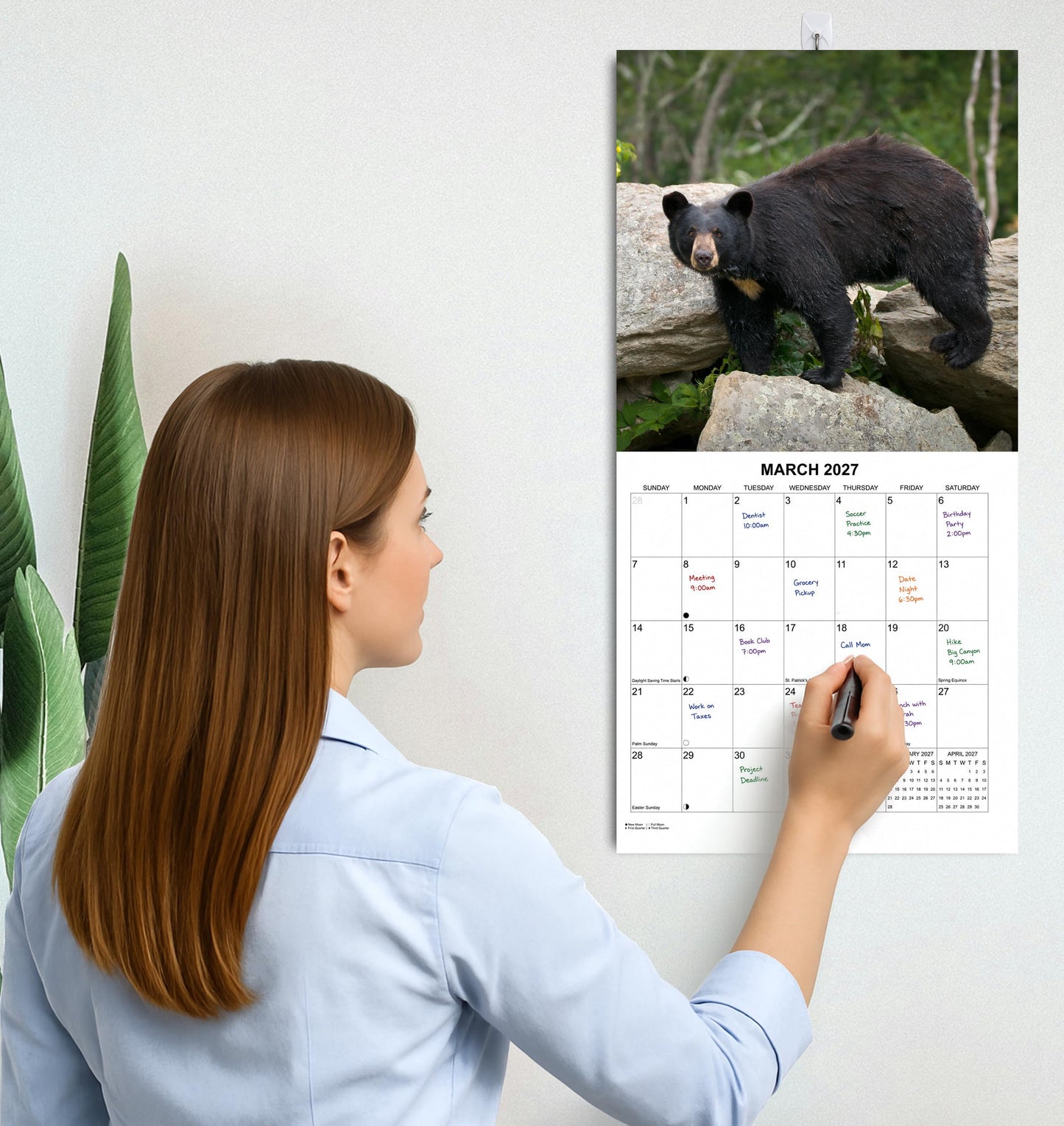 2027 Bears Monthly Wall Calendar | Animals Calendar 2026-2027
