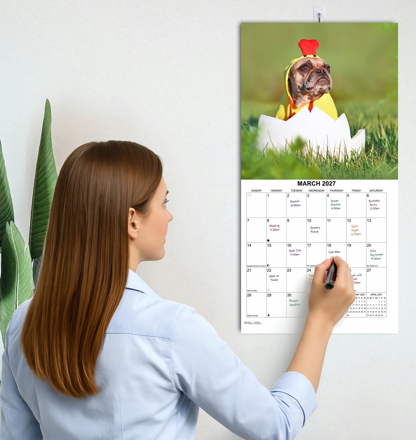 2027 Funny Frenchies Monthly Wall Calendar | Cute French Bulldogs Calendar September 2026 - December 2027