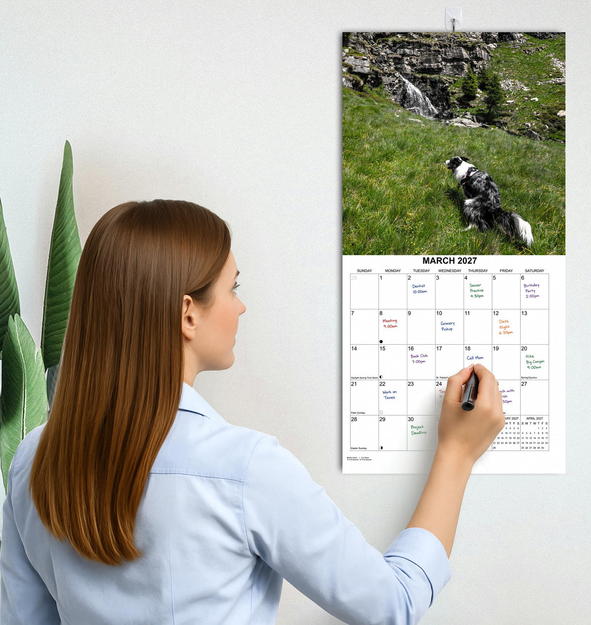 2027 Dumping Dogs in Scenic Spots Monthly Wall Calendar - Pooping Dogs Calendar | Prank Gift White Elephant or Gag Gift Calendar 2026-2027