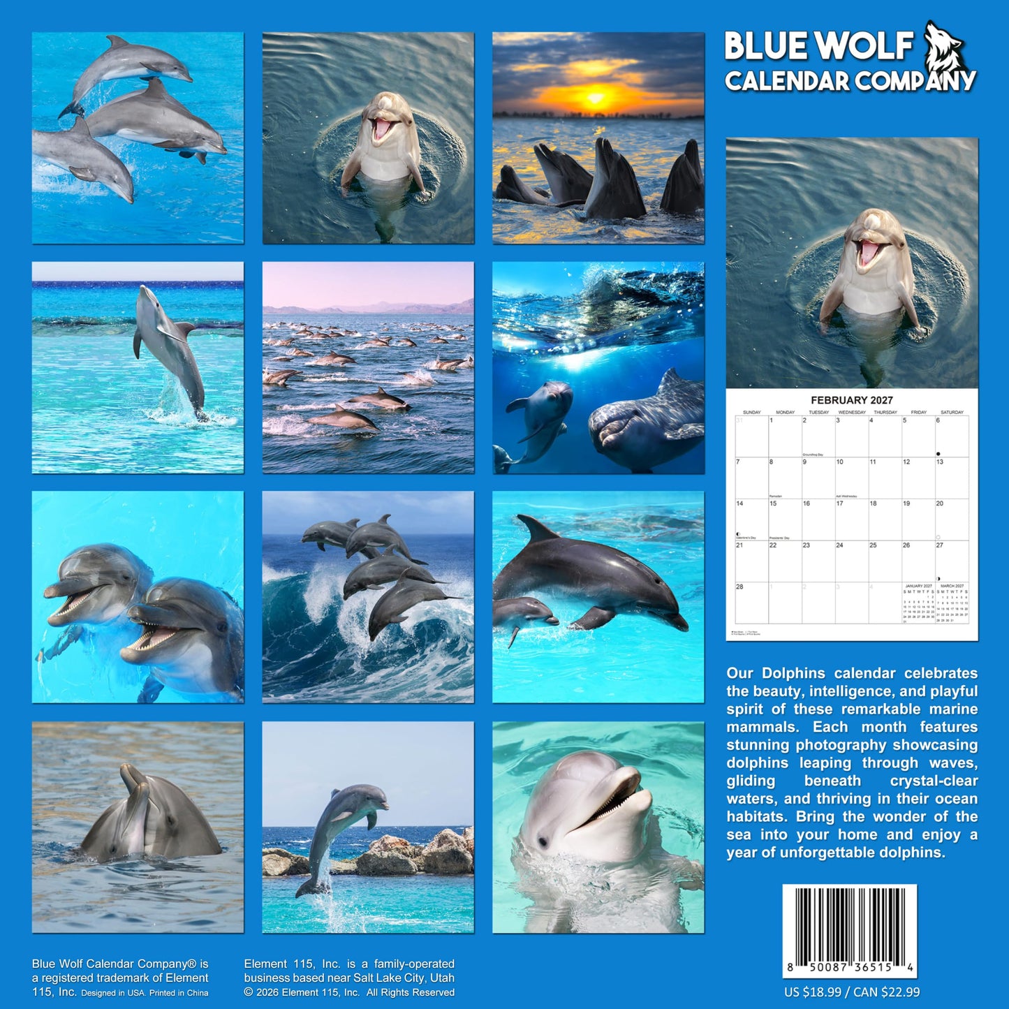 2027 Dolphins Monthly Wall Calendar | Animals Calendar 2026-2027