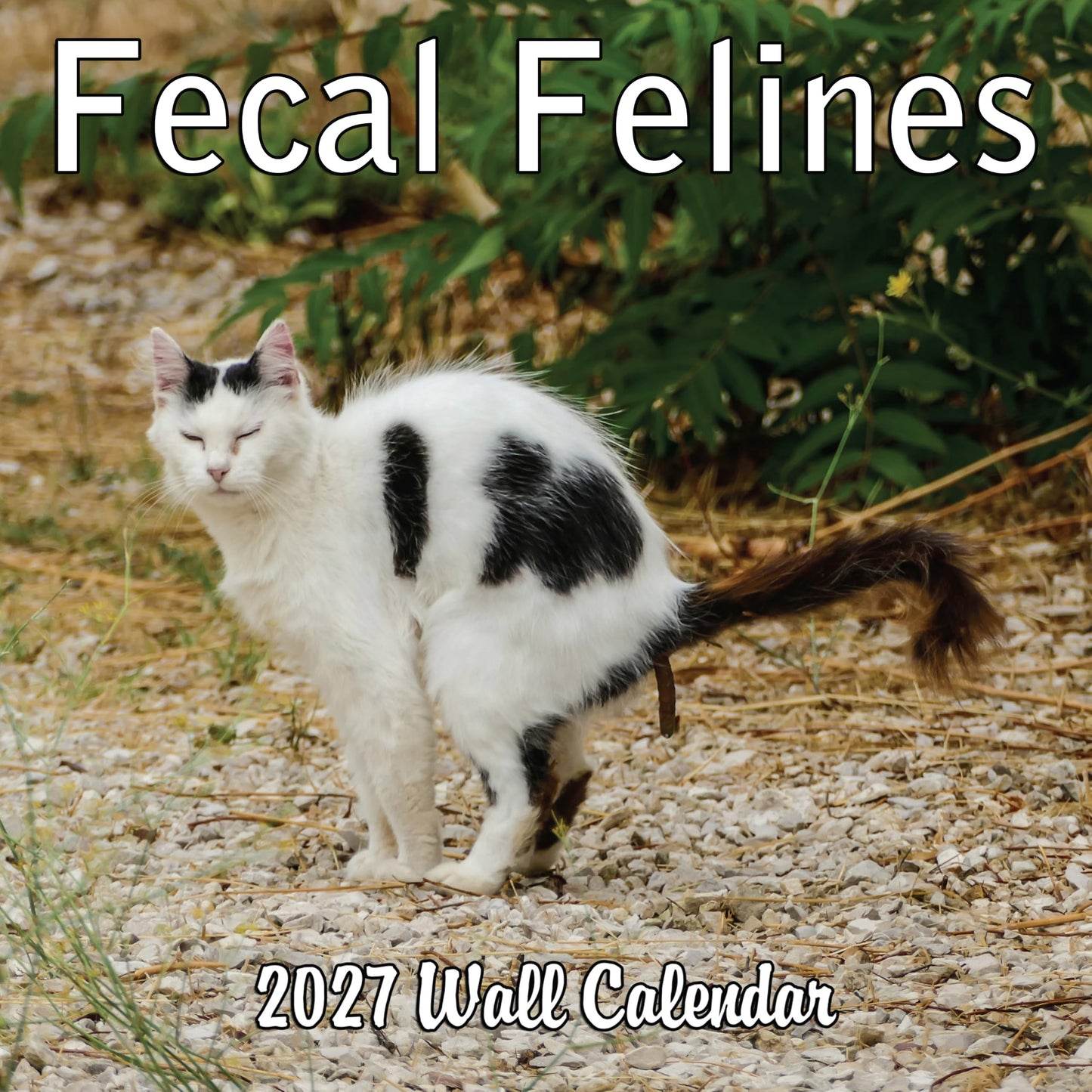 2027 Fecal Felines Monthly Wall Calendar - Pooping Cats Calendar | 2027 Prank Gift White Elephant or Gag Gift Calendar 2026-2027