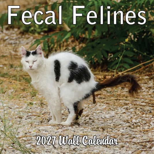 2027 Fecal Felines Monthly Wall Calendar - Pooping Cats Calendar | 2027 Prank Gift White Elephant or Gag Gift Calendar 2026-2027