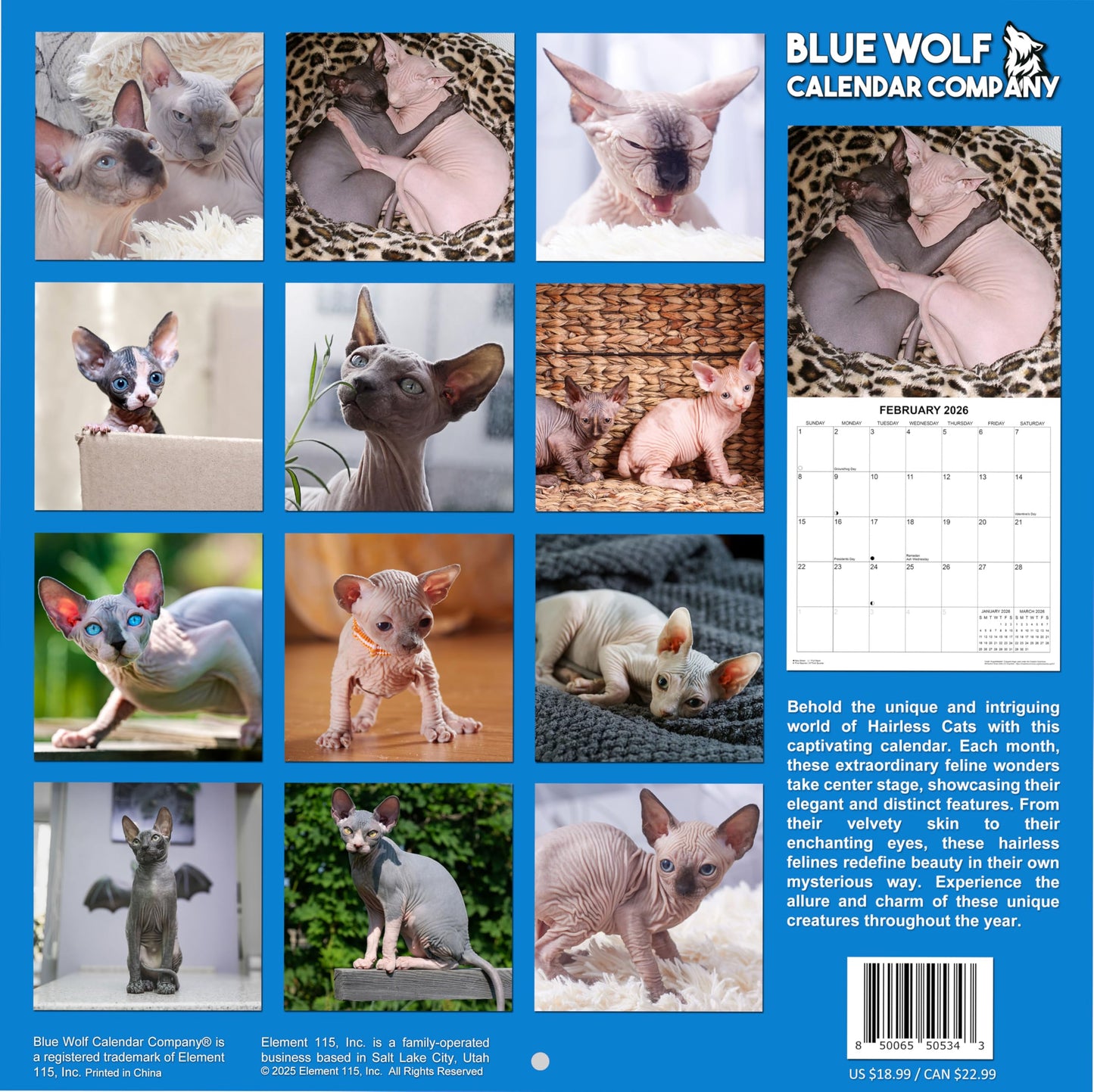 2026 Hairless Cats Monthly Wall Calendar | 12" x 24" | Thick Sturdy Paper | Sphynx Cats Calendar 2025-2026