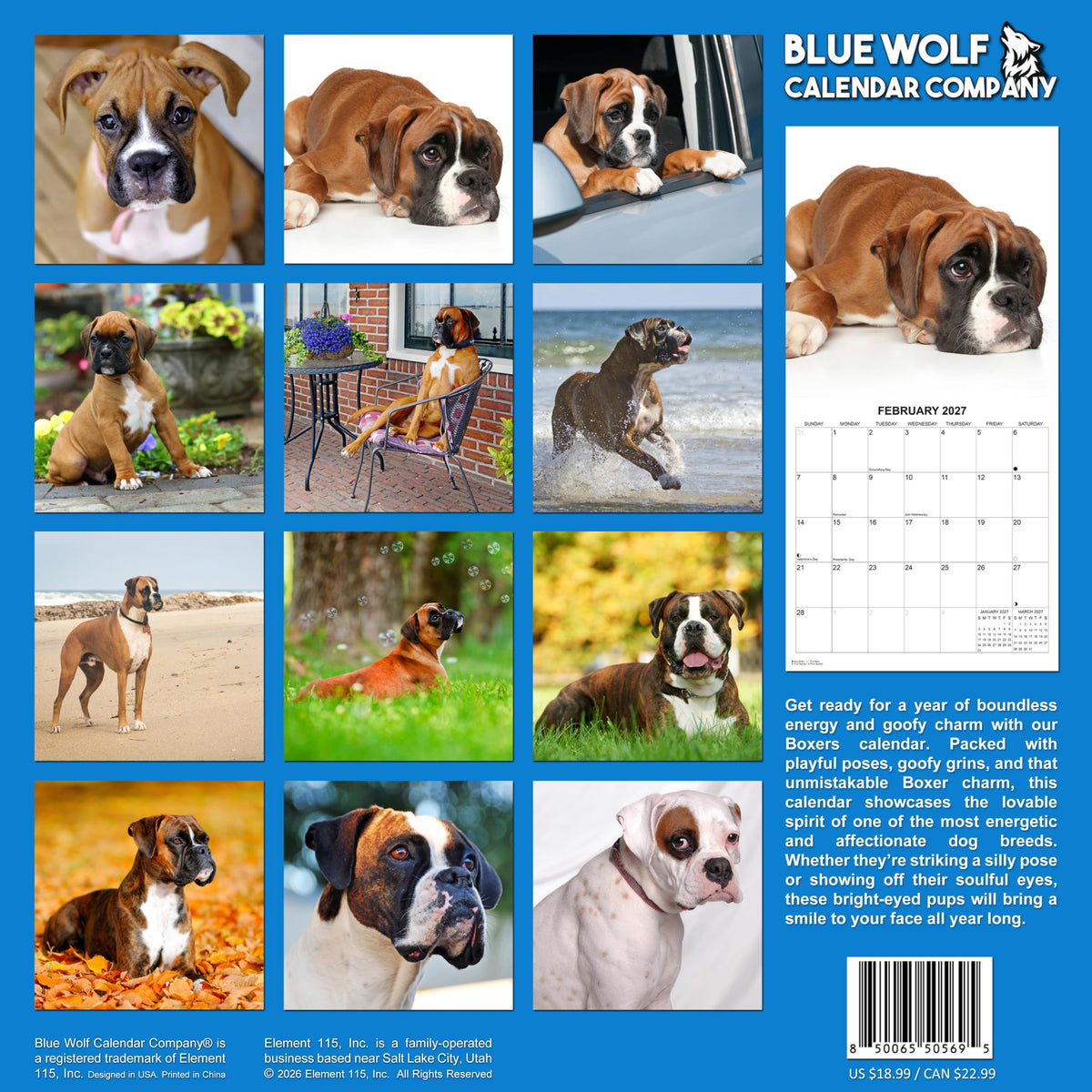 2027 Boxers Monthly Wall Calendar | Boxer Dog Breed 2026 Wall Calendar 2026-2027