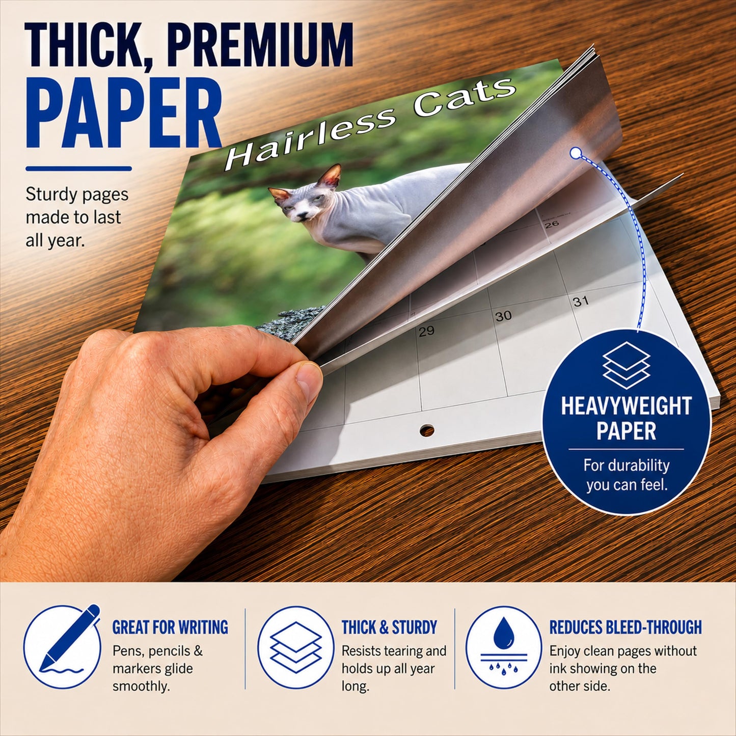 2027 Hairless Cats Monthly Wall Calendar | Cute Sphynx Cats Calendar 2026-2027