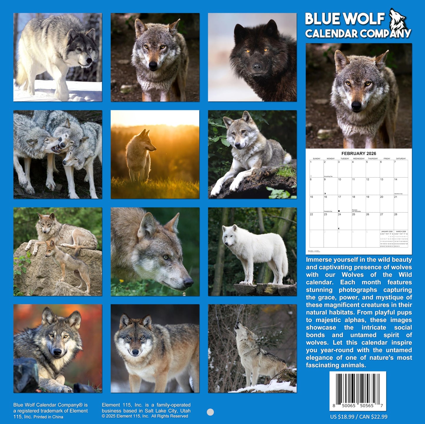 2026 Wolves of the Wild Monthly Wall Calendar | 12" x 24" | Animals Calendar 2025-2026