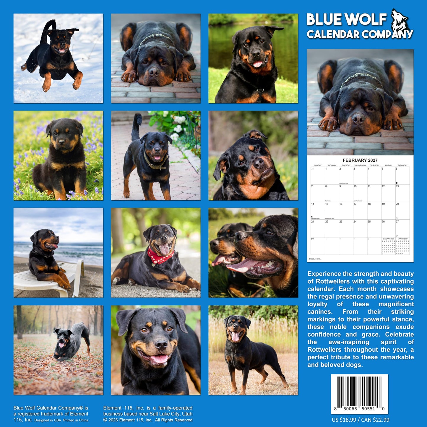 2027 Rottweilers Monthly Wall Calendar | Dogs Calendar September 2026 - December 2027