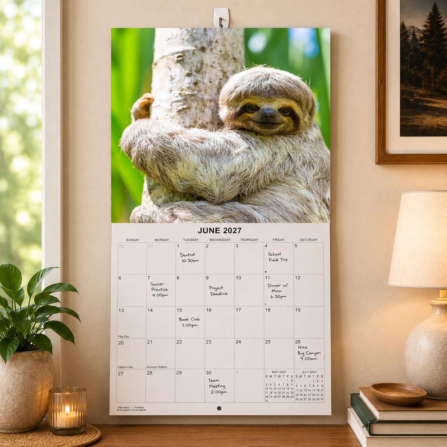 2027 Sloths Monthly Wall Calendar | Cute Animals Calendar 2026-2027
