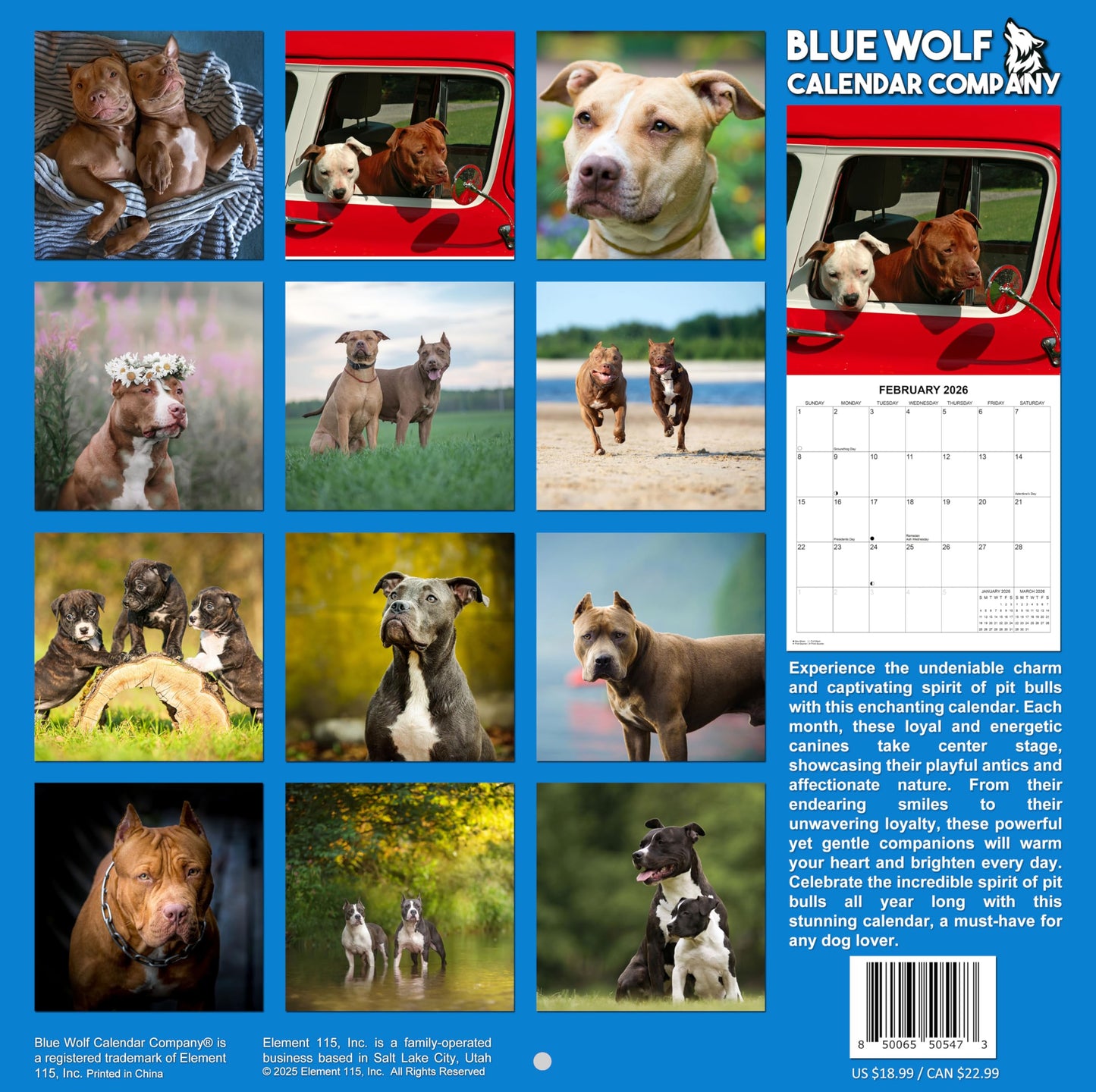 2026 Pit Bulls Monthly Hangable Wall Calendar | 12" x 24" | September 2025 - December 2026 Dog Calendar