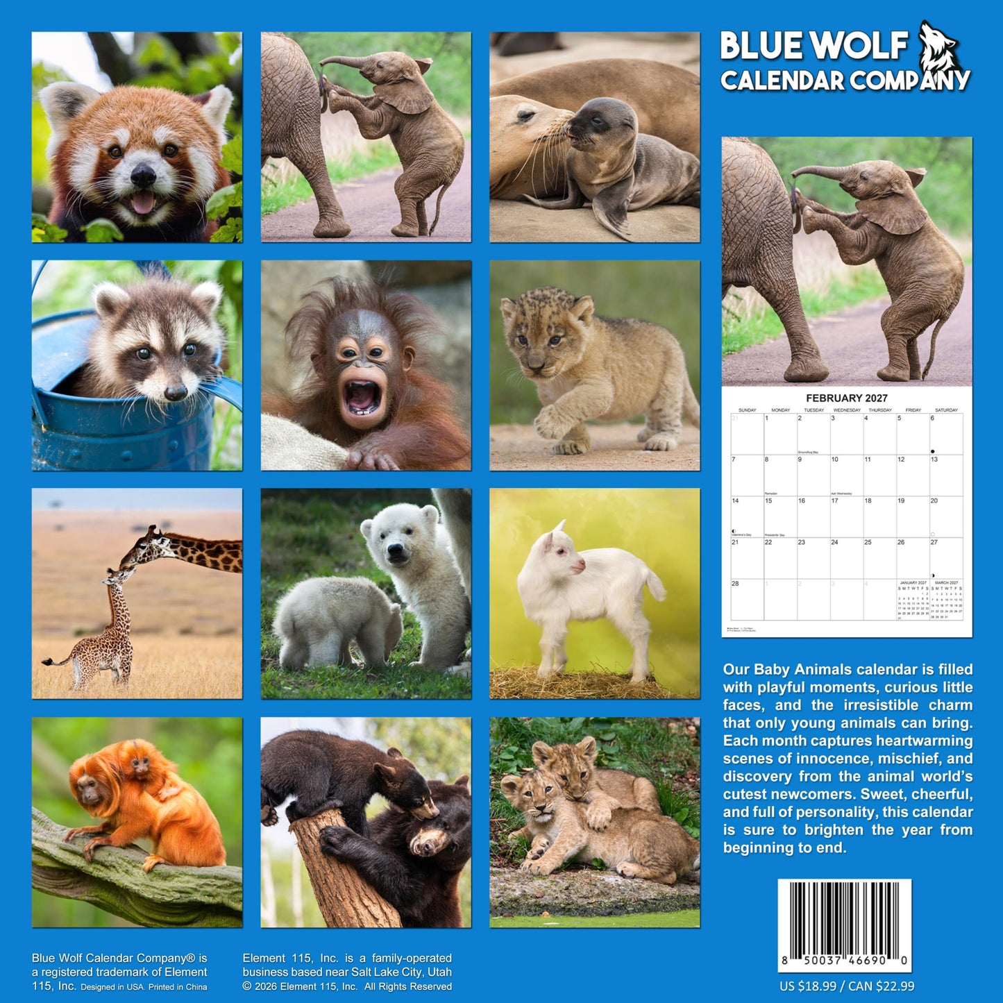 2027 Baby Animals Monthly Wall Calendar | Cute Animals Calendar 2026-2027
