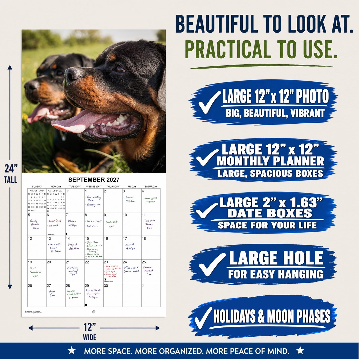 2027 Rottweilers Monthly Wall Calendar | Dogs Calendar September 2026 - December 2027