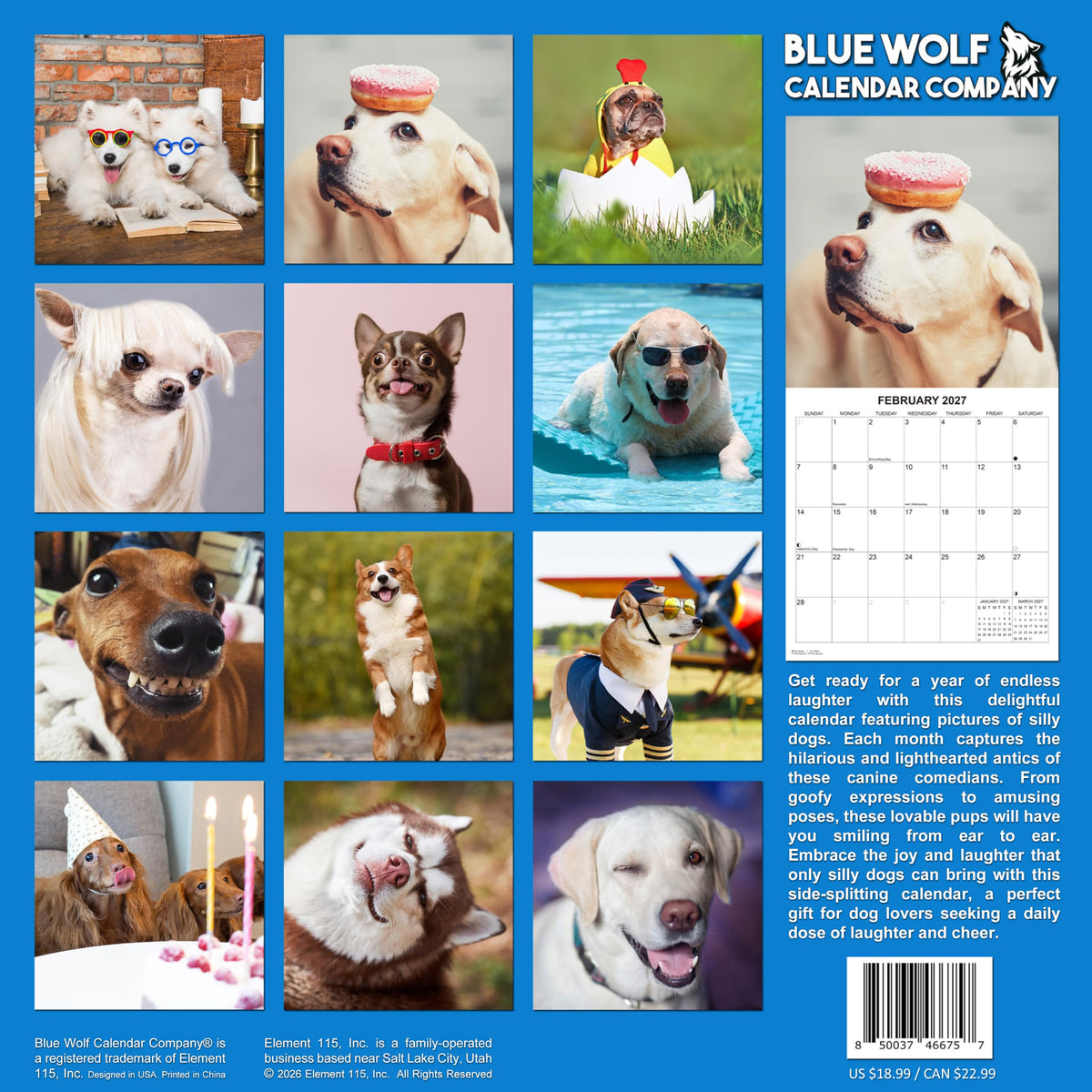 2027 Silly Dogs Monthly Wall Calendar | Funny Dogs Calendar September 2026 - December 2027