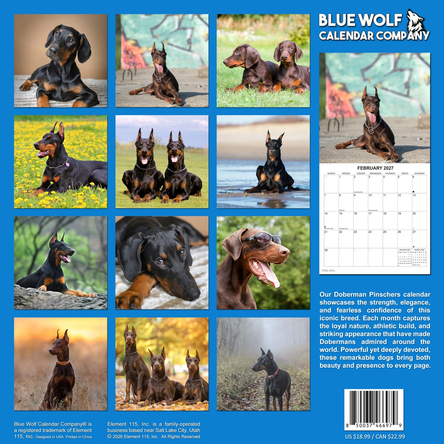 2027 Doberman Pinschers Monthly Wall Calendar | Dog Calendar September 2026 - December 2027