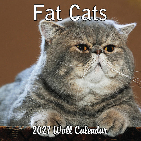 2027 Fat Cats Monthly Wall Calendar | Funny Cats Gag Gift or White Elephant Gift Calendar 2026-2027