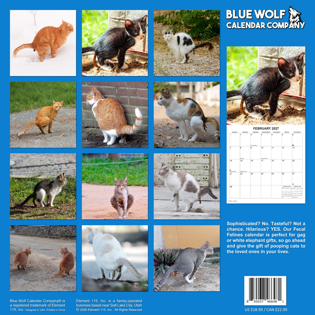 2027 Fecal Felines Monthly Wall Calendar - Pooping Cats Calendar | 2027 Prank Gift White Elephant or Gag Gift Calendar 2026-2027