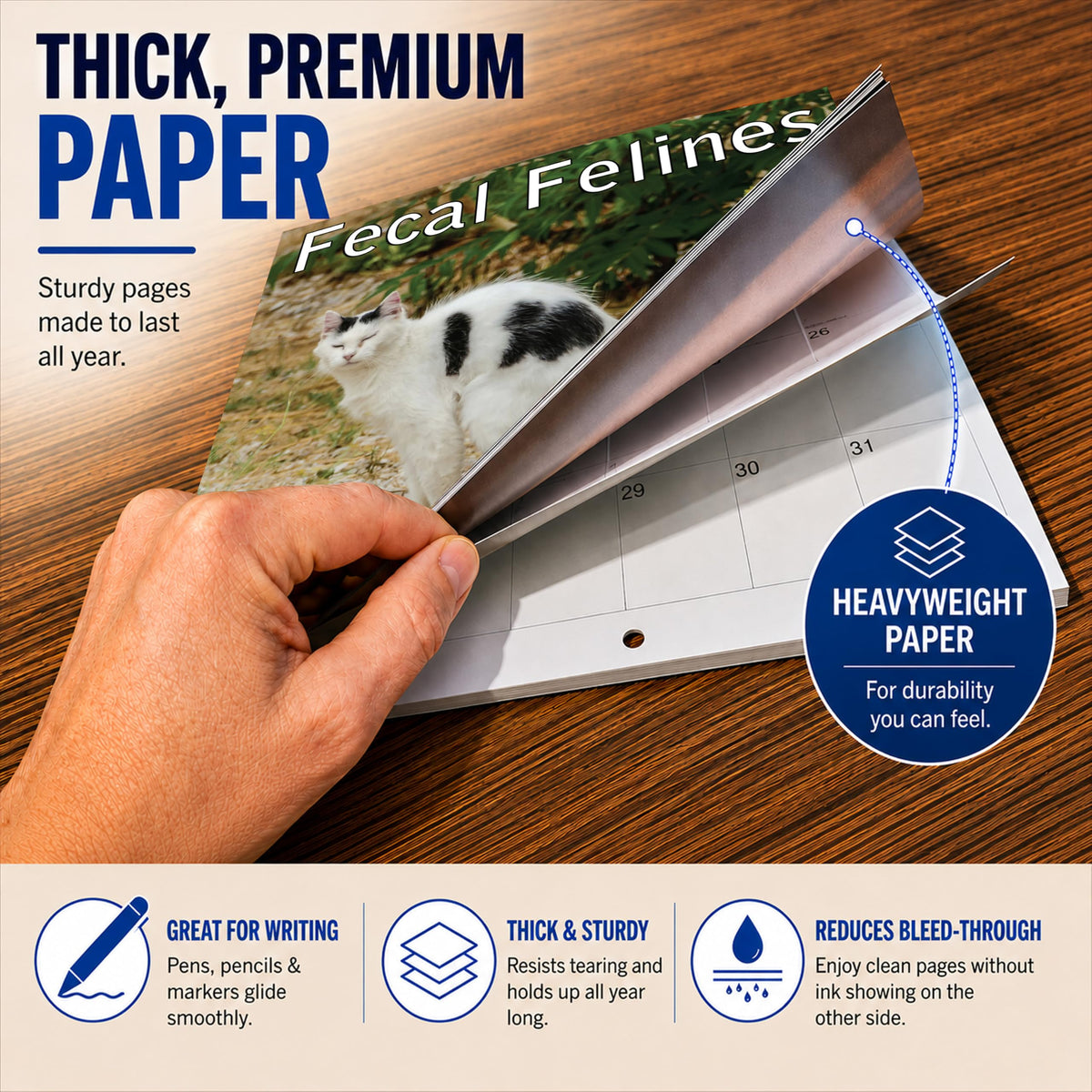 2027 Fecal Felines Monthly Wall Calendar - Pooping Cats Calendar | 2027 Prank Gift White Elephant or Gag Gift Calendar 2026-2027