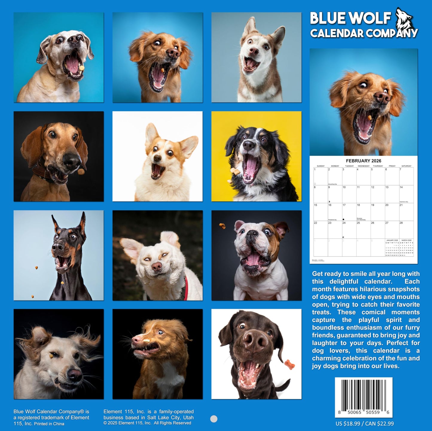 2026 Treat Time Monthly Wall Calendar - Dogs Making Funny Faces Trying to Catch Treats | 12" x 24" | Funny Dog Calendar September 2025 - December 2026