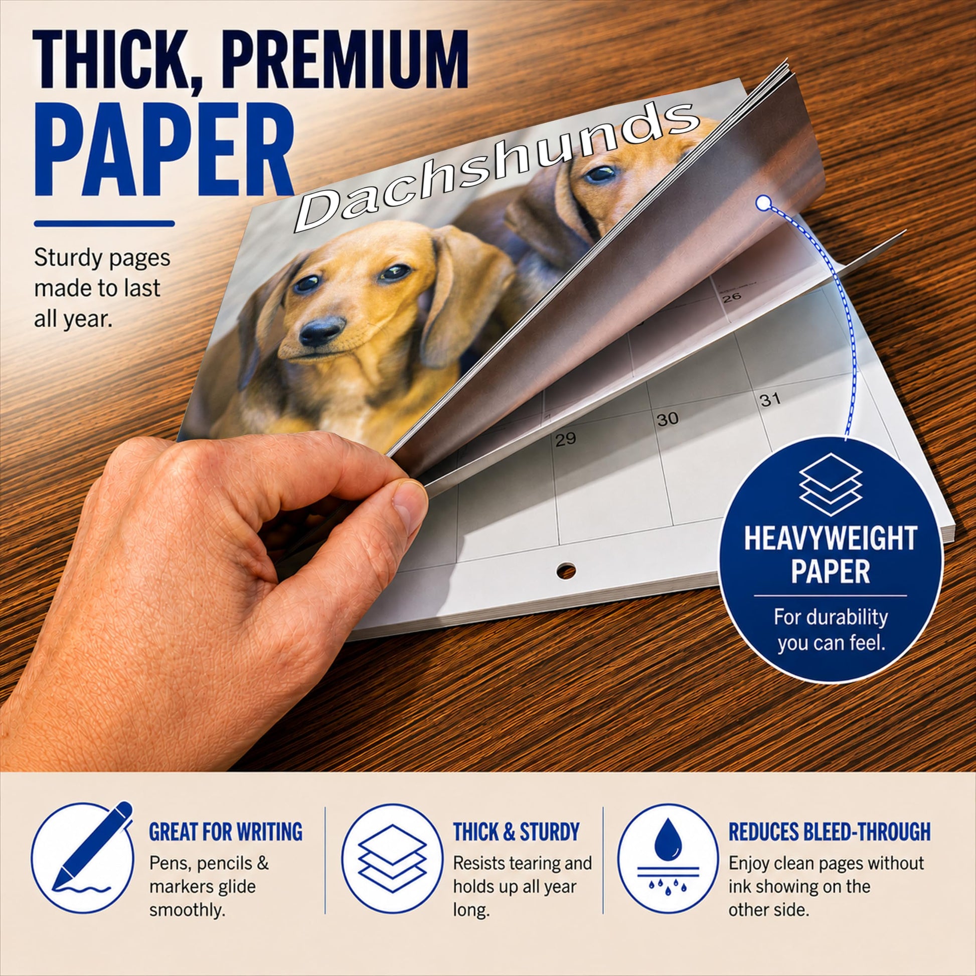 2027 Dachshunds Weiner Dog Monthly Wall Calendar | Wiener Dogs Calendar September 2026 - December 2027