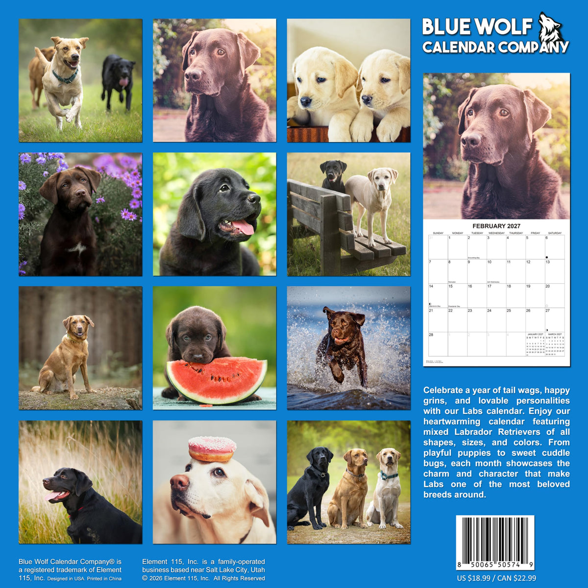 2027 Labs Monthly Wall Calendar | Labrador Retrievers Calendar September 2026 - December 2027