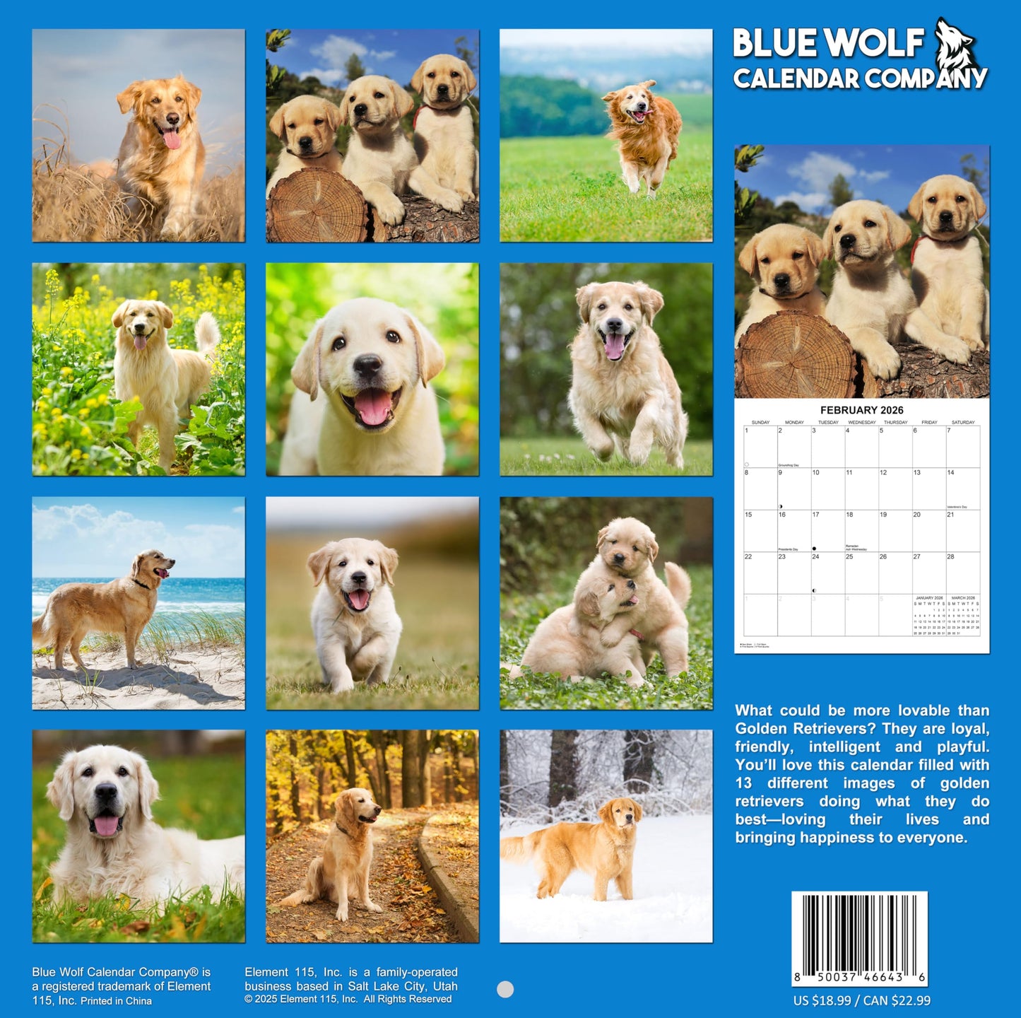 2026 Golden Retrievers Wall Calendar