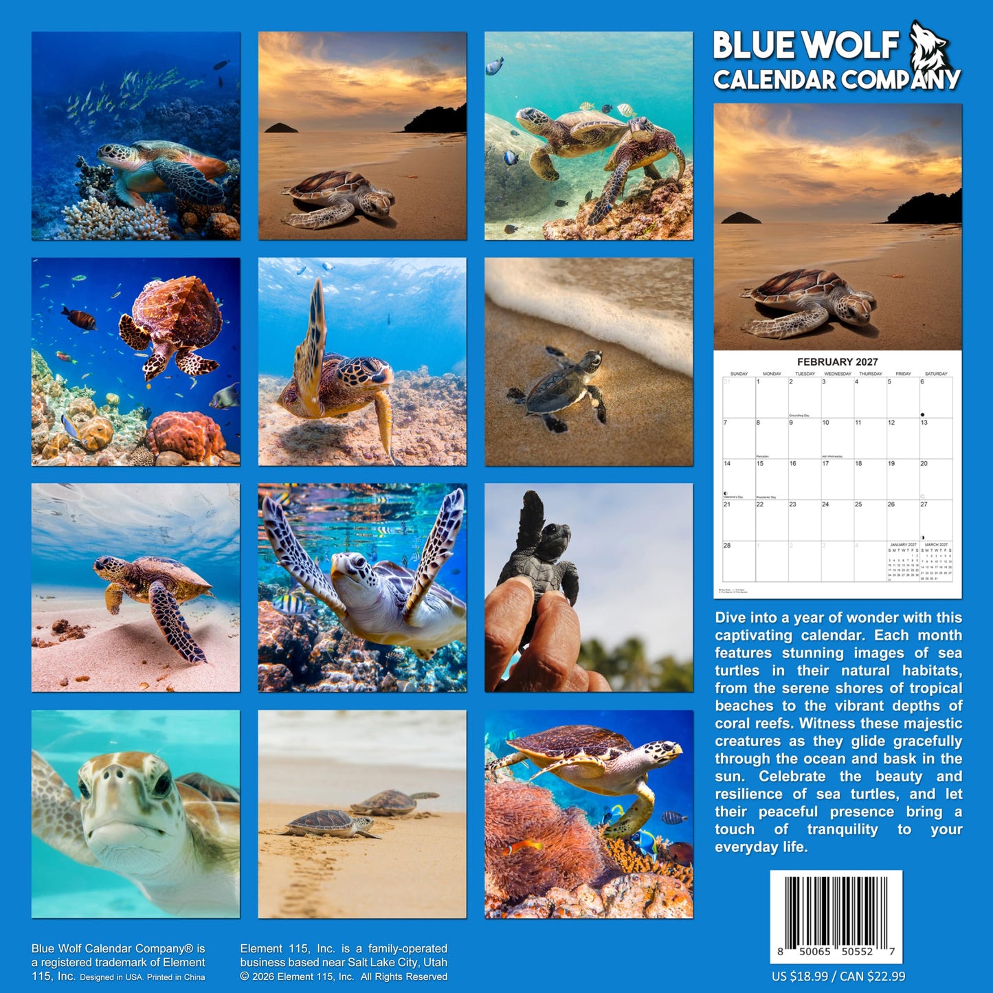 2027 Sea Turtles Monthly Wall Calendar | Cute Animals Sea Creatures Calendar 2026-2027