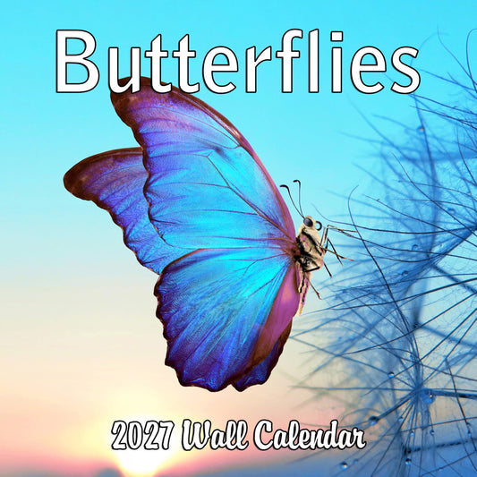 2027 Butterflies Monthly Wall Calendar | Insects Calendar 2026-2027