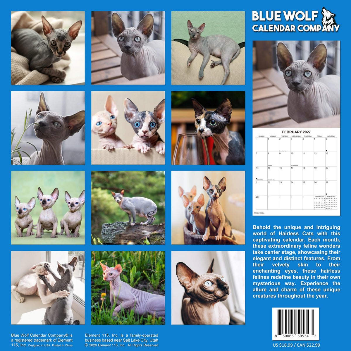 2027 Hairless Cats Monthly Wall Calendar | Cute Sphynx Cats Calendar 2026-2027