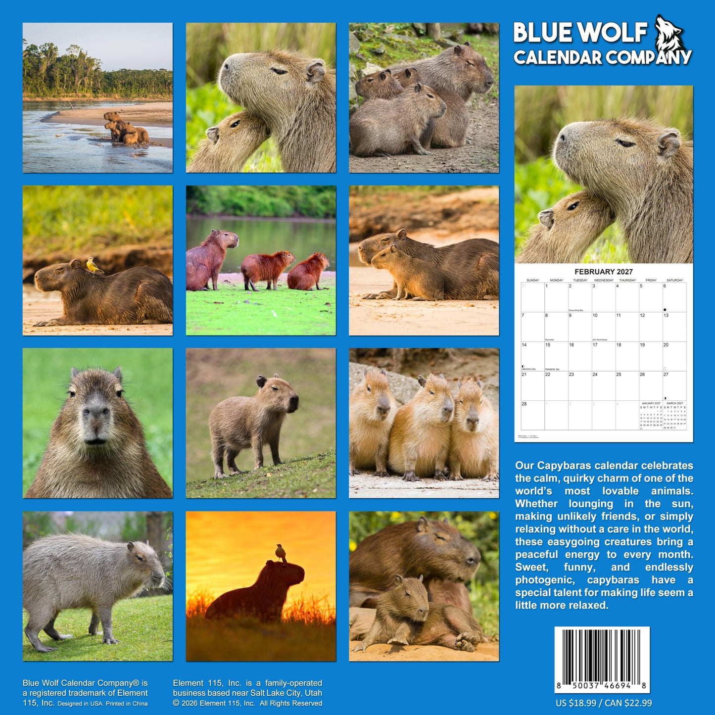2027 Capybaras Monthly Wall Calendar | Cute Animals Calendar 2026-2027