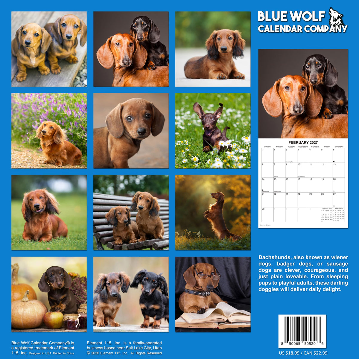 2027 Dachshunds Weiner Dog Monthly Wall Calendar | Wiener Dogs Calendar September 2026 - December 2027