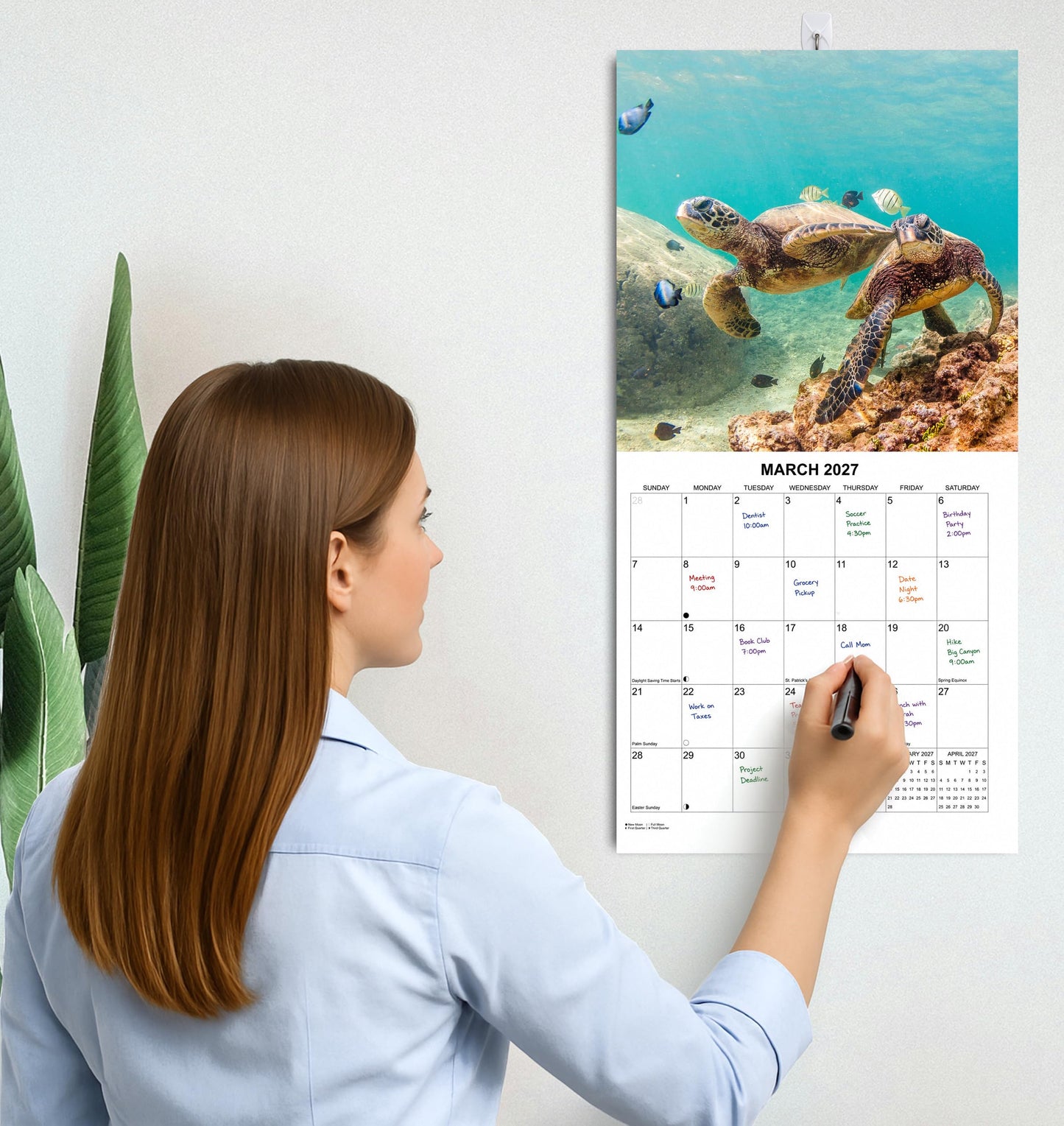 2027 Sea Turtles Monthly Wall Calendar | Cute Animals Sea Creatures Calendar 2026-2027