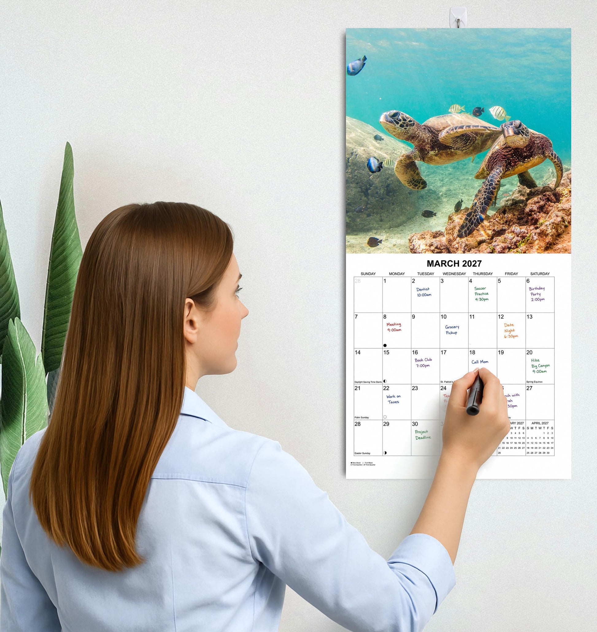 2027 Sea Turtles Monthly Wall Calendar | Cute Animals Sea Creatures Calendar 2026-2027