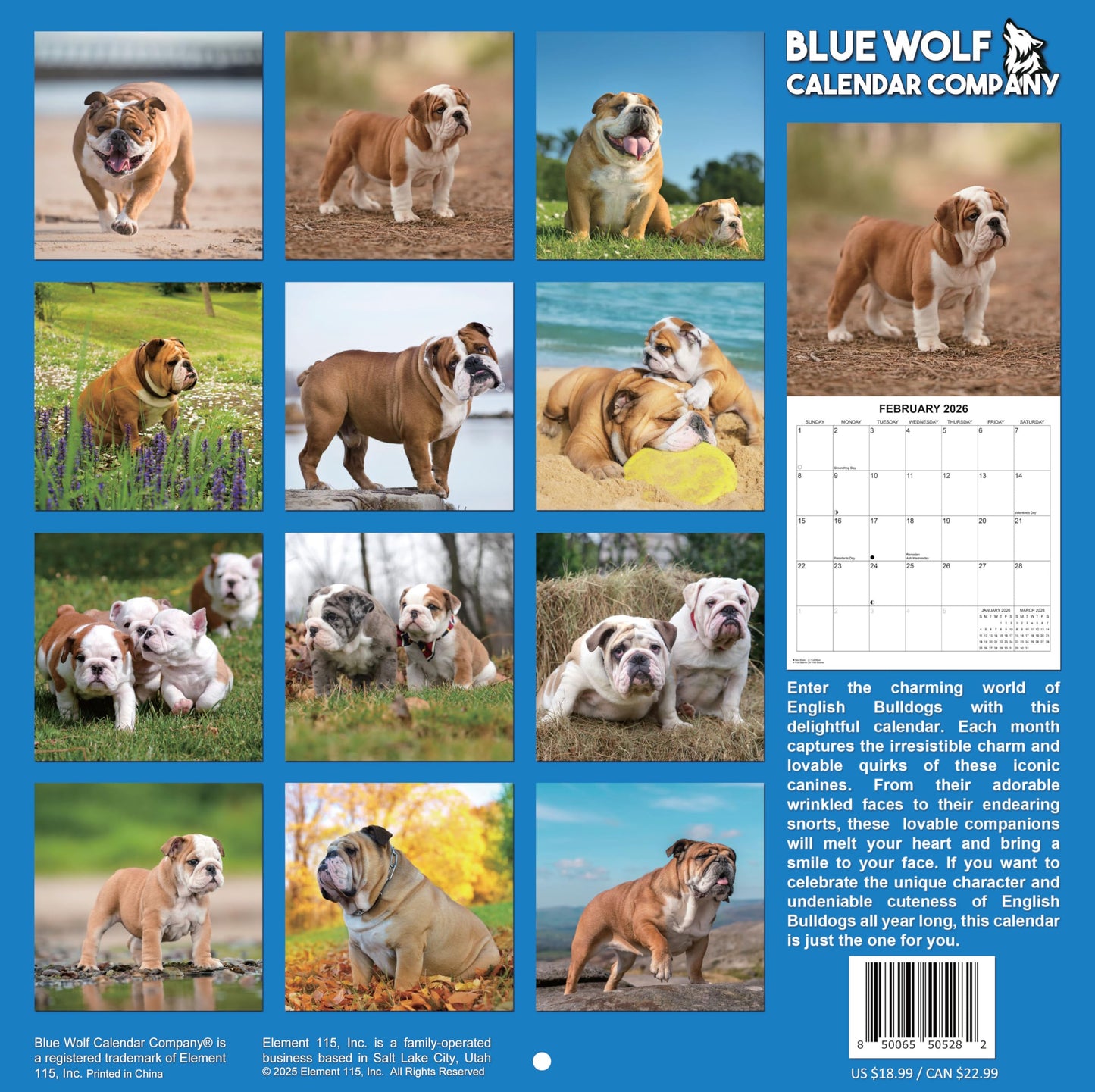 2026 English Bulldogs Monthly Wall Calendar | 12" x 24" | Dog Calendar September 2025 - December 2026